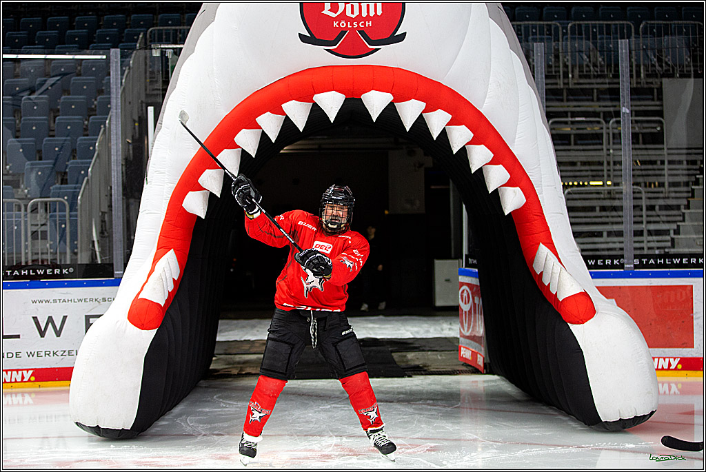 PENNY DEL; Koelner Haie- Red BUll Muenchen Sponsorenspiel; Koeln, 08.11.2022